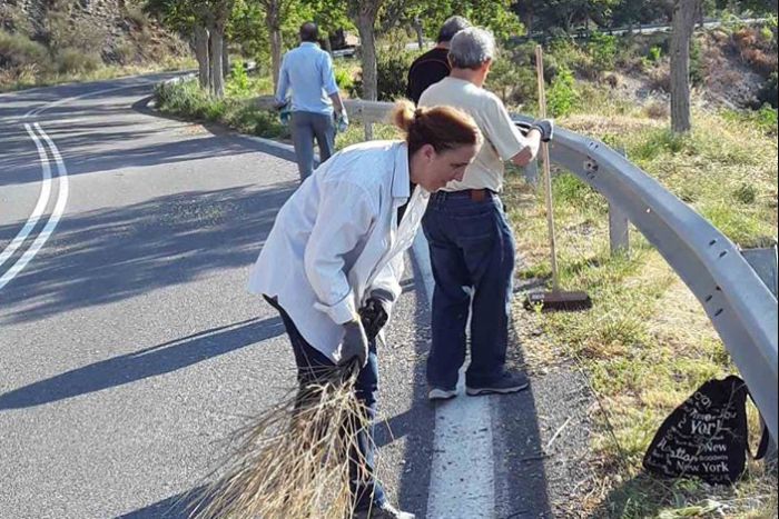 Δράση εξωραϊσμού στη διαδρομή από Στεμνίτσα προς Δημητσάνα (εικόνες)