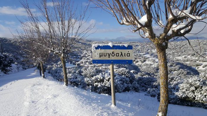 Η χιονισμένη Γλανιτσιά στην Γορτυνία! (εικόνες)