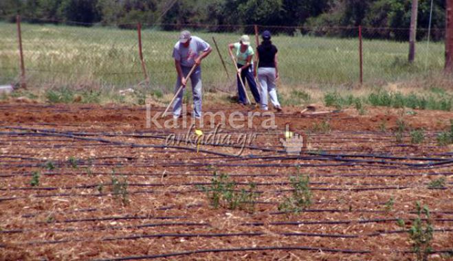 Λαχανόκηπος: Αιτήσεις μέχρι την Παρασκευή!