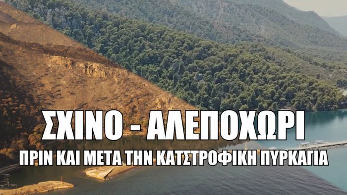 Φωτιά στην Κορινθία | Βίντεο γροθιά στο στομάχι!