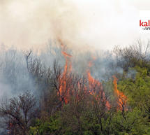 &Nu;έ&omicron;&sigmaf; &pi;ύ&rho;&iota;&nu;&omicron;&sigmaf; &epsilon;&phi;&iota;ά&lambda;&tau;&eta;&sigmaf; &sigma;&tau;&eta; &Mu;&epsilon;&gamma;&alpha;&lambda;ό&pi;&omicron;&lambda;&eta;...