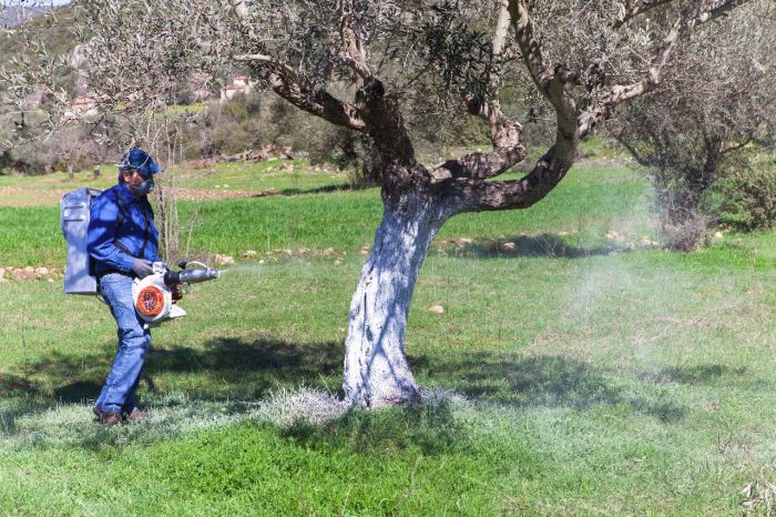 Δακοκτονία - Η απάντηση της Περιφέρειας για τα παράπονα του Δήμου Βόρειας Κυνουρίας