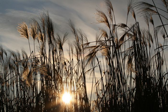 Δροσιά και το καλοκαίρι στην Αρκαδία | Σε Βυτίνα και Τρίπολη ... οι ελάχιστες θερμοκρασίες σε όλη την Ελλάδα!