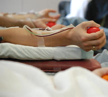 &Epsilon;&theta;&epsilon;&lambda;&omicron;&nu;&tau;&iota;&kappa;ή &alpha;&iota;&mu;&omicron;&delta;&omicron;&sigma;ί&alpha; &alpha;&pi;ό &tau;&eta;&nu; IV &Mu;&epsilon;&rho;&alpha;&rho;&chi;ί&alpha; &Pi;&epsilon;&zeta;&iota;&kappa;&omicron;ύ