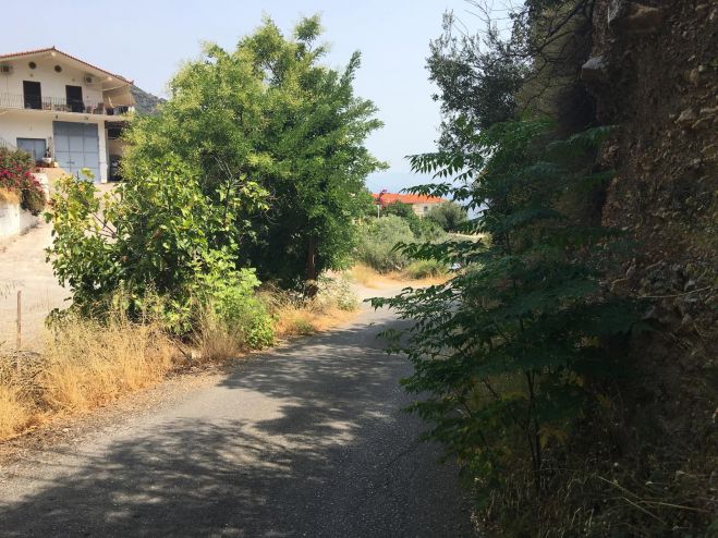 &Epsilon;&lambda;&lambda;&iota;&pi;ή&sigmaf; &phi;&omega;&tau;&iota;&sigma;&mu;ό&sigmaf; - Ά&kappa;&omicron;&pi;&alpha;&nbsp;&chi;ό&rho;&tau;&alpha; &kappa;&alpha;&iota; &theta;ά&mu;&nu;&omicron;&iota;&nbsp;&sigma;&tau;&eta; &Delta;&eta;&mu;&omicron;&tau;&iota;&kappa;ή &Epsilon;&nu;ό&tau;&eta;&tau;&alpha;&nbsp;&Tau;&upsilon;&rho;&omicron;ύ