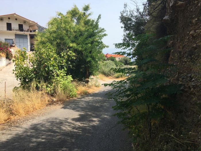 &Epsilon;&lambda;&lambda;&iota;&pi;ή&sigmaf; &phi;&omega;&tau;&iota;&sigma;&mu;ό&sigmaf; - Ά&kappa;&omicron;&pi;&alpha;&nbsp;&chi;ό&rho;&tau;&alpha; &kappa;&alpha;&iota; &theta;ά&mu;&nu;&omicron;&iota;&nbsp;&sigma;&tau;&eta; &Delta;&eta;&mu;&omicron;&tau;&iota;&kappa;ή &Epsilon;&nu;ό&tau;&eta;&tau;&alpha;&nbsp;&Tau;&upsilon;&rho;&omicron;ύ