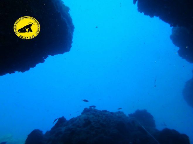 &Delta;έ&kappa;&alpha; &upsilon;&pi;&omicron;&beta;&rho;ύ&chi;&iota;&alpha; &sigma;&pi;ή&lambda;&alpha;&iota;&alpha; έ&chi;&omicron;&upsilon;&nu; &epsilon;&nu;&tau;&omicron;&pi;&iota;&sigma;&tau;&epsilon;ί &sigma;&tau;&eta;&nu; &pi;&epsilon;&rho;&iota;&omicron;&chi;ή &tau;&omicron;&upsilon; "&Alpha;&rho;&kappa;&alpha;&delta;&iota;&kappa;&omicron;ύ &Chi;&omega;&rho;&iota;&omicron;ύ"! (vd)