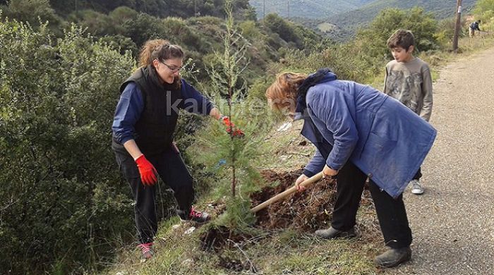 200 δένδρα φυτεύτηκαν με πρωτοβουλία του Συλλόγου Τροπαιατών Αθήνας! (vd)