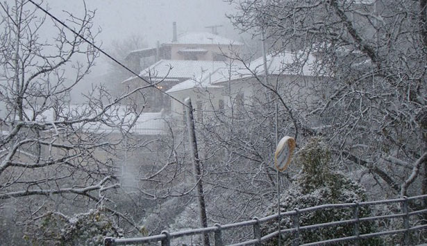 Ό&lambda;&alpha; &tau;&alpha; &nu;&epsilon;ό&tau;&epsilon;&rho;&alpha; &gamma;&iota;&alpha; &tau;&eta;&nu; &kappa;&alpha;&kappa;&omicron;&kappa;&alpha;&iota;&rho;ί&alpha; &sigma;&tau;&eta;&nu; &Alpha;&rho;&kappa;&alpha;&delta;ί&alpha; &ndash; &Pi;&rho;&omicron;&sigma;&epsilon;&kappa;&tau;&iota;&kappa;&omicron;ί &pi;&rho;έ&pi;&epsilon;&iota; &nu;&alpha; &epsilon;ί&nu;&alpha;&iota; ό&lambda;&omicron;&iota; &omicron;&iota; &omicron;&delta;&eta;&gamma;&omicron;ί!