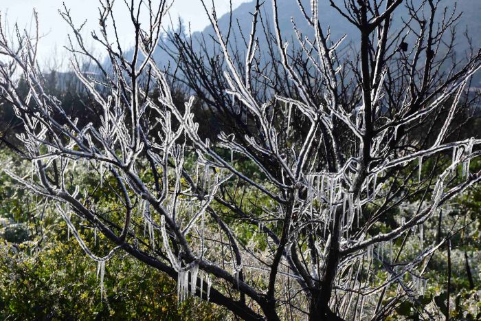 &Kappa;&omega;&nu;&sigma;&tau;&alpha;&nu;&tau;&iota;&nu;ό&pi;&omicron;&upsilon;&lambda;&omicron;&sigmaf;: "&Alpha;&nu;&eta;&sigma;&upsilon;&chi;&eta;&tau;&iota;&kappa;ή &kappa;&alpha;&theta;&upsilon;&sigma;&tau;έ&rho;&eta;&sigma;&eta; &alpha;&pi;&omicron;&zeta;&eta;&mu;&iota;ώ&sigma;&epsilon;&omega;&nu; &gamma;&iota;&alpha; &pi;&alpha;&rho;&alpha;&gamma;&omega;&gamma;&omicron;ύ&sigmaf; &kappa;&epsilon;&rho;&alpha;&sigma;&iota;&omicron;ύ &kappa;&alpha;&iota; &beta;ύ&sigma;&sigma;&iota;&nu;&omicron;&upsilon; &tau;&eta;&sigmaf; &Alpha;&rho;&kappa;&alpha;&delta;ί&alpha;&sigmaf; &alpha;&pi;ό &tau;&omicron;&nu; &pi;&alpha;&gamma;&epsilon;&tau;ό &tau;&omicron;&upsilon; &Mu;&alpha;&rho;&tau;ί&omicron;&upsilon; &tau;&omicron;&upsilon; 2025"