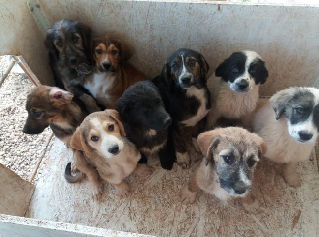 &Phi;&iota;&lambda;&omicron;&zeta;&omega;&iota;&kappa;ό&sigmaf; &Sigma;ύ&lambda;&lambda;&omicron;&gamma;&omicron;&sigmaf; | &Chi;&alpha;&rho;ί&zeta;&omicron;&nu;&tau;&alpha;&iota; &kappa;&omicron;&upsilon;&tau;&alpha;&beta;ά&kappa;&iota;&alpha;!