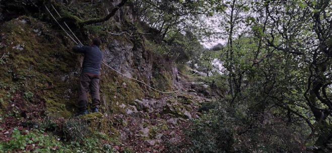 &Pi;&rho;&omicron;&gamma;&rho;&alpha;&mu;&mu;&alpha;&tau;&iota;&kappa;ή &sigma;ύ&mu;&beta;&alpha;&sigma;&eta; &gamma;&iota;&alpha; &tau;&eta;&nu; &alpha;&pi;&omicron;&kappa;&alpha;&tau;ά&sigma;&tau;&alpha;&sigma;&eta; &tau;&omicron;&upsilon; &mu;&omicron;&nu;&omicron;&pi;&alpha;&tau;&iota;&omicron;ύ &sigma;&tau;&eta; &Nu;έ&alpha; &Mu;&omicron;&nu;ή &Phi;&iota;&lambda;&omicron;&sigma;ό&phi;&omicron;&upsilon; &sigma;&tau;&omicron;&nu; &Lambda;&omicron;ύ&sigma;&iota;&omicron;