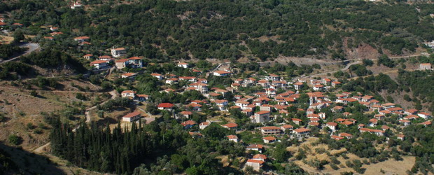 &Kappa;&omicron;&pi;ή &pi;ί&tau;&alpha;&sigmaf; &kappa;&alpha;&iota; &epsilon;&kappa;&lambda;&omicron;&gamma;έ&sigmaf; &sigma;&tau;&eta;&nu; Έ&nu;&omega;&sigma;&eta; &Delta;&eta;&mu;&eta;&tau;&rho;&iota;&omega;&tau;ώ&nu; &Gamma;&omicron;&rho;&tau;&upsilon;&nu;ί&alpha;&sigmaf;