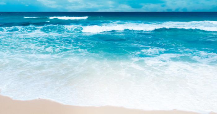 &Nu;&omicron;&mu;&iota;&mu;&omicron;&pi;&omicron;&iota;&omicron;ύ&nu;&tau;&alpha;&iota; &chi;&iota;&lambda;&iota;ά&delta;&epsilon;&sigmaf; &kappa;&alpha;&tau;&alpha;&pi;&alpha;&tau;&eta;&mu;έ&nu;&epsilon;&sigmaf; &epsilon;&kappa;&tau;ά&sigma;&epsilon;&iota;&sigmaf; &sigma;&epsilon; &alpha;&iota;&gamma;&iota;&alpha;&lambda;&omicron;ύ&sigmaf; &kappa;&alpha;&iota; &pi;&alpha;&rho;&alpha;&lambda;ί&epsilon;&sigmaf;!