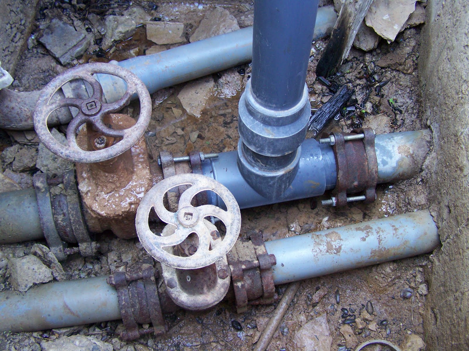 &Pi;&alpha;&rho;ά&tau;&alpha;&sigma;&eta; &alpha;&iota;&tau;ή&sigma;&epsilon;&omega;&nu; &gamma;&iota;&alpha; &upsilon;&phi;&iota;&sigma;&tau;ά&mu;&epsilon;&nu;&alpha; &delta;&iota;&kappa;&alpha;&iota;ώ&mu;&alpha;&tau;&alpha; &chi;&rho;ή&sigma;&eta;&sigmaf; &nu;&epsilon;&rho;&omicron;ύ