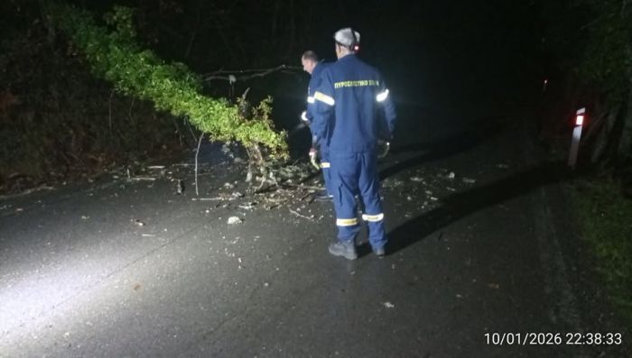 &Iota;&sigma;&chi;&upsilon;&rho;&omicron;ί ά&nu;&epsilon;&mu;&omicron;&iota; &xi;&epsilon;&rho;ί&zeta;&omega;&sigma;&alpha;&nu; &delta;έ&nu;&delta;&rho;&omicron; &tau;&eta; &nu;ύ&chi;&tau;&alpha; &sigma;&tau;&omicron;&nu; Ά&gamma;&iota;&omicron; &Pi;έ&tau;&rho;&omicron; - Έ&kappa;&lambda;&epsilon;&iota;&sigma;&epsilon; &gamma;&iota;&alpha; &lambda;ί&gamma;&omicron; &omicron; &delta;&rho;ό&mu;&omicron;&sigmaf; &pi;&rho;&omicron;&sigmaf; &tau;&eta;&nu; &Tau;&rho;ί&pi;&omicron;&lambda;&eta; - Ά&mu;&epsilon;&sigma;&eta; &epsilon;&pi;έ&mu;&beta;&alpha;&sigma;&eta; &alpha;&pi;ό &tau;&eta;&nu; &Pi;&upsilon;&rho;&omicron;&sigma;&beta;&epsilon;&sigma;&tau;&iota;&kappa;ή