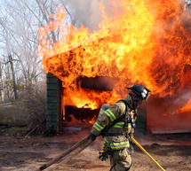 &Alpha;&pi;&alpha;&nu;&theta;&rho;&alpha;&kappa;&omega;&mu;έ&nu;&omicron; &pi;&tau;ώ&mu;&alpha; &epsilon;&nu;&tau;&omicron;&pi;ί&sigma;&tau;&eta;&kappa;&epsilon; &sigma;&tau;&eta; &Mu;&epsilon;&sigma;&sigma;&eta;&nu;ί&alpha;