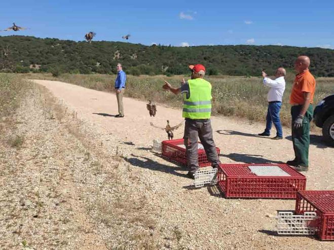 Φασιανοί απελευθερώθηκαν στη λίμνη Τάκα