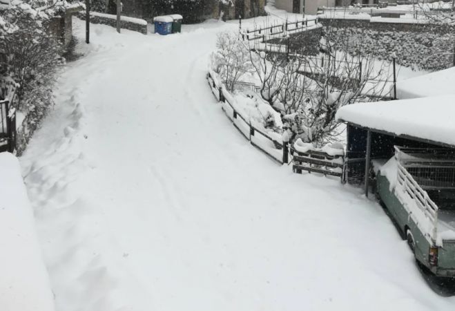 &Alpha;&rho;&kappa;&alpha;&delta;ί&alpha; | Έ&phi;&tau;&alpha;&sigma;&epsilon; &tau;&omicron;&upsilon;&sigmaf; 40 &pi;ό&nu;&tau;&omicron;&upsilon;&sigmaf; &tau;&omicron; &chi;&iota;ό&nu;&iota; &sigma;&tau;&omicron; &Chi;&rho;&upsilon;&sigma;&omicron;&beta;ί&tau;&sigma;&iota;! (&epsilon;&iota;&kappa;ό&nu;&epsilon;&sigmaf;)