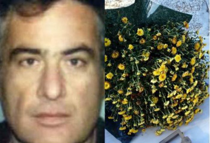 &Sigma;ή&mu;&epsilon;&rho;&alpha; &eta; &kappa;&eta;&delta;&epsilon;ί&alpha; &tau;&omicron;&upsilon; &Alpha;&rho;&kappa;ά&delta;&alpha; &Kappa;&alpha;&theta;&eta;&gamma;&eta;&tau;ή &Chi;&rho;ή&sigma;&tau;&omicron;&upsilon; &Alpha;&lambda;&epsilon;&xi;ό&pi;&omicron;&upsilon;&lambda;&omicron;&upsilon;- &Sigma;&upsilon;&gamma;&kappa;&lambda;&omicron;&nu;&iota;&sigma;&mu;έ&nu;&omicron; &tau;&omicron; &Pi;&alpha;&nu;&epsilon;&pi;&iota;&sigma;&tau;ή&mu;&iota;&omicron; &tau;&eta;&sigmaf; &Pi;ά&tau;&rho;&alpha;&sigmaf;