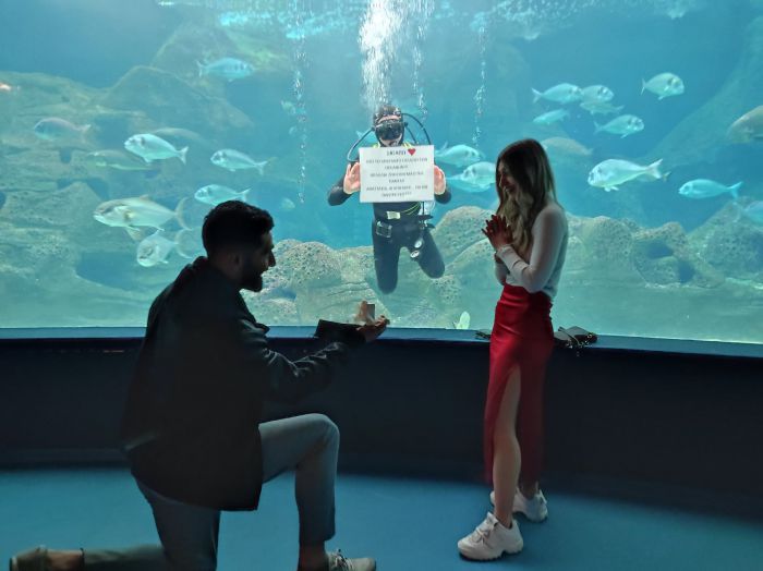 &Pi;&rho;ό&tau;&alpha;&sigma;&eta; &gamma;ά&mu;&omicron;&upsilon; &sigma;&epsilon; &epsilon;&nu;&upsilon;&delta;&rho;&epsilon;ί&omicron; &alpha;&pi;ό &pi;&rho;ώ&eta;&nu; &pi;&alpha;ί&chi;&tau;&eta; &tau;&omicron;&upsilon; &Alpha;&sigma;&tau;έ&rho;&alpha; &sigma;&tau;&eta;&nu; &alpha;&gamma;&alpha;&pi;&eta;&mu;έ&nu;&eta; &tau;&omicron;&upsilon;! (&epsilon;&iota;&kappa;ό&nu;&epsilon;&sigmaf;)