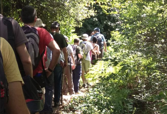Εθνική Πινακοθήκη | Απολογισμός των Θερινών Σχολείων για την πολιτιστική κληρονομιά του αγροτικού χώρου στη Δημητσάνα