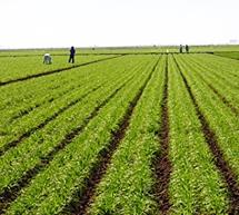 &Sigma;ή&mu;&epsilon;&rho;&alpha; - &Eta;&mu;&epsilon;&rho;ί&delta;&alpha; &gamma;&iota;&alpha; &epsilon;&nu;&alpha;&lambda;&lambda;&alpha;&kappa;&tau;&iota;&kappa;έ&sigmaf; &kappa;&alpha;&lambda;&lambda;&iota;έ&rho;&gamma;&epsilon;&iota;&epsilon;&sigmaf; &sigma;&tau;&eta;&nu; &Epsilon;&pi;&iota;&sigma;&kappa;&omicron;&pi;ή &Tau;&epsilon;&gamma;έ&alpha;&sigmaf;