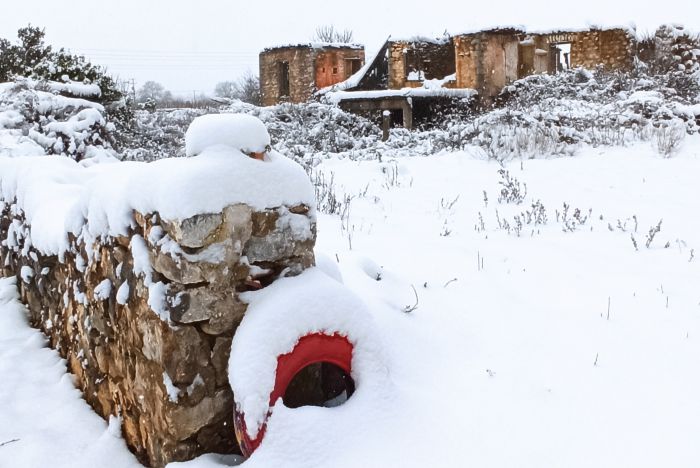 &Chi;&iota;&omicron;&nu;&iota;&sigma;&mu;έ&nu;&epsilon;&sigmaf; &epsilon;&iota;&kappa;ό&nu;&epsilon;&sigmaf; &alpha;&pi;ό &tau;&iota;&sigmaf; &Rho;ί&zeta;&epsilon;&sigmaf; &Tau;&epsilon;&gamma;έ&alpha;&sigmaf;