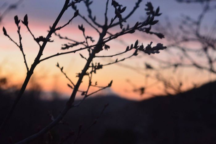 Μοναδικό ηλιοβασίλεμα στη Βλαχοκερασιά! (εικόνες)