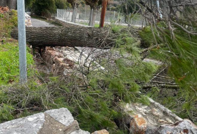 Κακοκαιρία | Ζημιές σε κατοικίες στο Ελληνικό Γορτυνίας (vd)