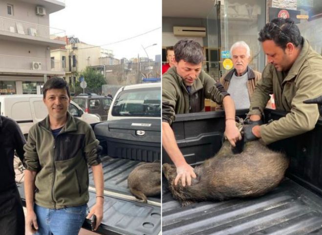 Αγριογούρουνο ... βολτάρει στην παραλία της Καλαμάτας!