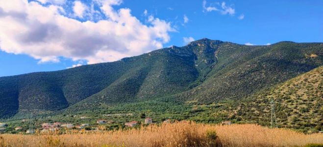 Περίεργο και όμως Κυνουριακό | Για την καθυστερημένη διαβούλευση του έργου στην Ζάβιτσα