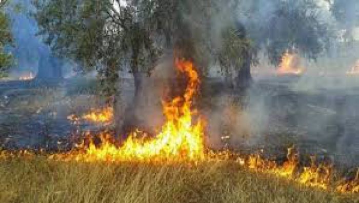 ΕΛΓΑ | Πληρωμή 13,5 εκατ. ευρώ για τις πυρκαγιές του 2021
