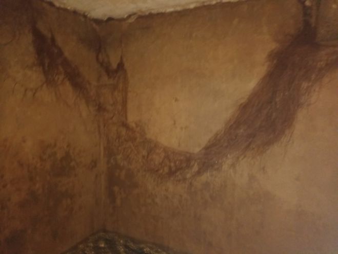 &Omicron; &Pi;&rho;ό&epsilon;&delta;&rho;&omicron;&sigmaf; &tau;&eta;&sigmaf; &Tau;.&Kappa;. &Pi;&alpha;&nu;&alpha;&gamma;ί&tau;&sigma;&alpha;&sigmaf; &gamma;&iota;&alpha; &tau;&omicron; &theta;έ&mu;&alpha; &tau;&omicron;&upsilon; &kappa;&alpha;&theta;&alpha;&rho;&iota;&sigma;&mu;&omicron;ύ &tau;&eta;&sigmaf; &delta;&epsilon;&xi;&alpha;&mu;&epsilon;&nu;ή&sigmaf; &sigma;&tau;&omicron; &chi;&omega;&rho;&iota;ό