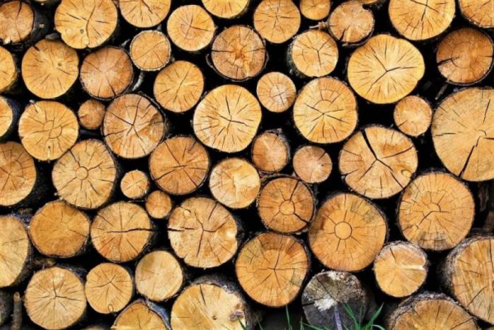 &Pi;&epsilon;&rho;&iota;&sigma;&sigma;ό&tau;&epsilon;&rho;&eta; &kappa;&alpha;&iota; &phi;&theta;&eta;&nu;ό&tau;&epsilon;&rho;&eta; &xi;&upsilon;&lambda;&epsilon;ί&alpha; &sigma;&tau;&omicron;&upsilon;&sigmaf; &kappa;&alpha;&tau;&omicron;ί&kappa;&omicron;&upsilon;&sigmaf; &tau;&omega;&nu; &omicron;&rho;&epsilon;&iota;&nu;ώ&nu; &pi;&epsilon;&rho;&iota;&omicron;&chi;ώ&nu;!