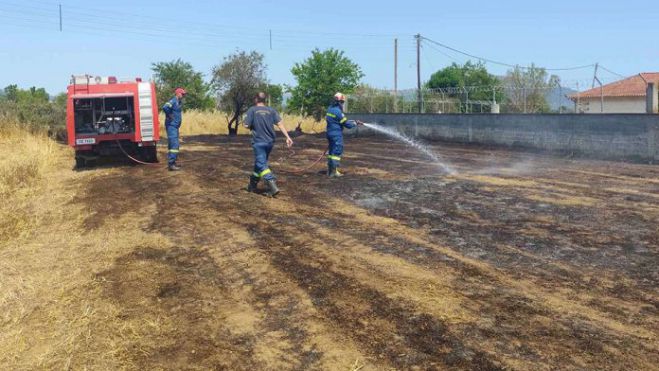 Φωτιά στο Τζίβα - Έγκαιρη επέμβαση Πυροσβεστικής και Δήμου Τρίπολης