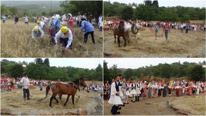 &Alpha;&nu;&alpha;&beta;ί&omega;&sigma;&alpha;&nu; &pi;&alpha;&rho;&alpha;&delta;&omicron;&sigma;&iota;&alpha;&kappa;ό &theta;&epsilon;&rho;&iota;&sigma;&mu;ό &kappa;&alpha;&iota; &alpha;&lambda;&omega;&nu;&iota;&sigma;&mu;ό &sigma;&tau;&omicron; &Epsilon;&lambda;&alpha;&iota;&omicron;&chi;ώ&rho;&iota; (vd)