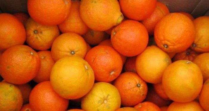 Δωρεάν πορτοκάλια για τρίτεκνους στην Τρίπολη!