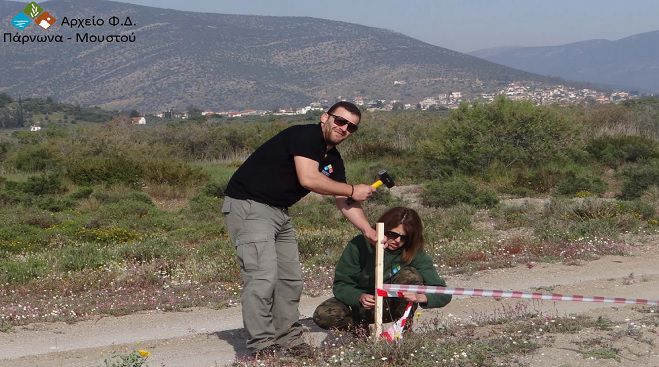 Σήμανση με κρίνους της θάλασσας στον υγρότοπο Μουστού (vd)