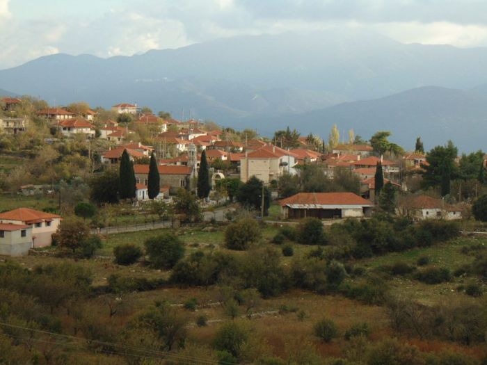Η νέα διοίκηση στο Σύλλογο Αδελφότητας Ραφταίων (ονόματα)