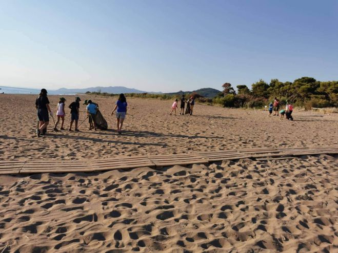 &Tau;&alpha; &Lambda;&upsilon;&kappa;ό&pi;&omicron;&upsilon;&lambda;&alpha; &tau;&eta;&sigmaf; &Tau;&rho;ί&pi;&omicron;&lambda;&eta;&sigmaf; &kappa;&alpha;&theta;ά&rho;&iota;&sigma;&alpha;&nu; &tau;&eta;&nu; &pi;&alpha;&rho;&alpha;&lambda;ί&alpha; &tau;&eta;&sigmaf; &Epsilon;&lambda;&alpha;ί&alpha;&sigmaf; (&epsilon;&iota;&kappa;ό&nu;&epsilon;&sigmaf;)