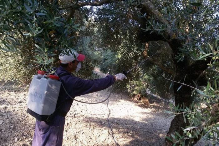 Δακοκτονία | Ποιοι προσλαμβάνονται στην Αρκαδία (ονόματα)