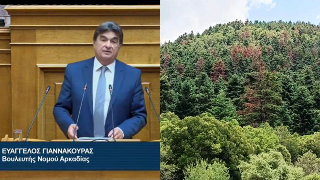 &Beta;&omicron;&upsilon;&lambda;ή | &Alpha;&pi;&alpha;&nu;&tau;ή&sigma;&epsilon;&iota;&sigmaf; &zeta;&eta;&tau;ά &omicron; &Gamma;&iota;&alpha;&nu;&nu;&alpha;&kappa;&omicron;ύ&rho;&alpha;&sigmaf; &gamma;&iota;&alpha; &tau;&eta; &xi;ή&rho;&alpha;&nu;&sigma;&eta; &epsilon;&lambda;ά&tau;&omega;&nu; &sigma;&epsilon; &Mu;&alpha;ί&nu;&alpha;&lambda;&omicron; &kappa;&alpha;&iota; &Pi;ά&rho;&nu;&omega;&nu;&alpha;