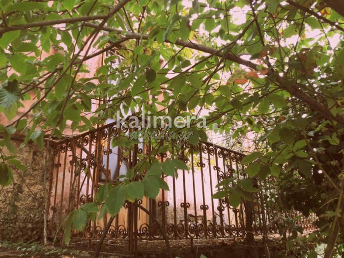 &Epsilon;&iota;&kappa;ό&nu;&epsilon;&sigmaf; &alpha;&pi;ό &tau;&omicron; &chi;&omega;&rho;&iota;ό - &Pi;ό&rho;&tau;&epsilon;&sigmaf;, &mu;&pi;&alpha;&lambda;&kappa;ό&nu;&iota;&alpha; &kappa;&alpha;&iota; &pi;&alpha;&rho;ά&theta;&upsilon;&rho;&alpha; &sigma;&tau;&eta; &Beta;&lambda;&alpha;&chi;&omicron;&kappa;&epsilon;&rho;&alpha;&sigma;&iota;ά!