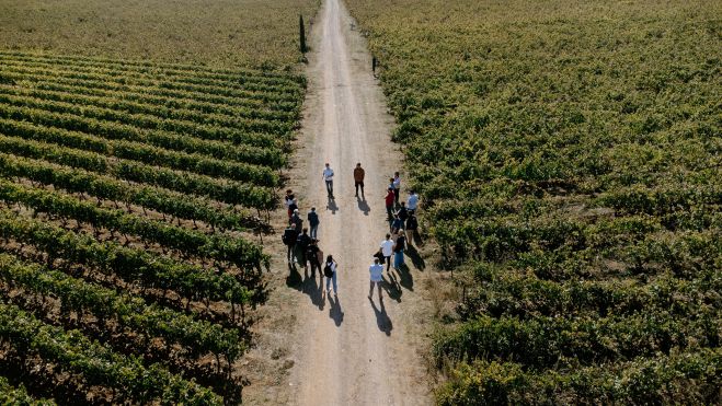 &Sigma;&alpha;&beta;&beta;&alpha;&tau;&omicron;&kappa;ύ&rho;&iota;&alpha;&kappa;&omicron; | &Iota;&delta;έ&epsilon;&sigmaf; &gamma;&iota;&alpha; &alpha;&pi;&omicron;&delta;&rho;ά&sigma;&epsilon;&iota;&sigmaf; &sigma;&tau;&eta;&nu; &Alpha;&rho;&kappa;&alpha;&delta;ί&alpha; (11-12 &Nu;&omicron;&epsilon;&mu;&beta;&rho;ί&omicron;&upsilon; 2023)