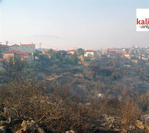 &Kappa;&lambda;&iota;&mu;ά&kappa;&iota;&omicron; &tau;&eta;&sigmaf; &laquo;&Delta;&upsilon;&nu;&alpha;&tau;ή&sigmaf; &Pi;&epsilon;&lambda;&omicron;&pi;&omicron;&nu;&nu;ή&sigma;&omicron;&upsilon;&raquo; &pi;&epsilon;&rho;&iota;ό&delta;&epsilon;&upsilon;&sigma;&epsilon; &sigma;&epsilon; &pi;&upsilon;&rho;ό&pi;&lambda;&eta;&kappa;&tau;&epsilon;&sigmaf; &pi;&epsilon;&rho;&iota;&omicron;&chi;έ&sigmaf; &tau;&eta;&sigmaf; &Alpha;&rho;&kappa;&alpha;&delta;ί&alpha;&sigmaf;