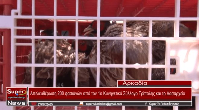 200 &phi;&alpha;&sigma;&iota;&alpha;&nu;&omicron;ύ&sigmaf; &alpha;&pi;&epsilon;&lambda;&epsilon;&upsilon;&theta;έ&rho;&omega;&sigma;&alpha;&nu; &omicron; 1&omicron; &Kappa;&upsilon;&nu;&eta;&gamma;&epsilon;&tau;&iota;&kappa;ό&sigmaf; &Sigma;ύ&lambda;&lambda;&omicron;&gamma;&omicron;&sigmaf; &Tau;&rho;ί&pi;&omicron;&lambda;&eta;&sigmaf; &kappa;&alpha;&iota; &tau;&omicron; &Delta;&alpha;&sigma;&alpha;&rho;&chi;&epsilon;ί&omicron; (vd)