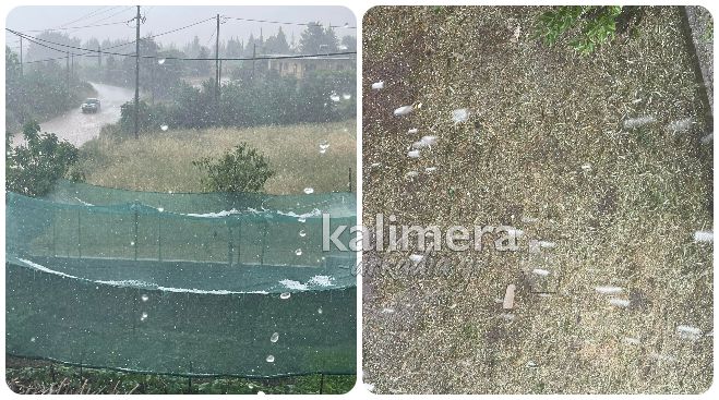 &Delta;&omicron;&lambda;&iota;&alpha;&nu;ά | &Alpha;&pi;ό &tau;&omicron;&nu; &kappa;&alpha;ύ&sigma;&omega;&nu;&alpha; &sigma;&tau;&eta; &chi;&alpha;&lambda;&alpha;&zeta;ό&pi;&tau;&omega;&sigma;&eta;