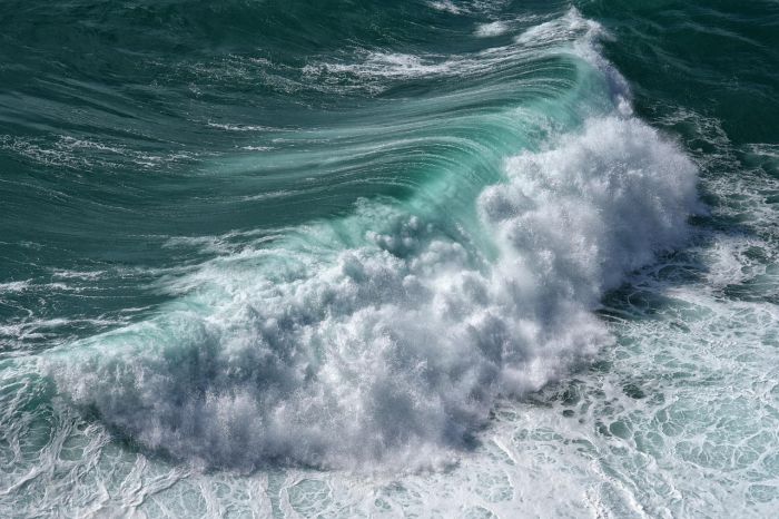 &Sigma;&upsilon;&gamma;&kappa;&lambda;&omicron;&nu;&iota;&sigma;&mu;έ&nu;&omicron;&iota; &sigma;&tau;&eta; &Nu;ό&tau;&iota;&alpha; &Kappa;&upsilon;&nu;&omicron;&upsilon;&rho;ί&alpha; &gamma;&iota;&alpha; &tau;&omicron; &nu;&epsilon;&kappa;&rho;ό &lambda;&iota;&mu;&epsilon;&nu;&iota;&kappa;ό &sigma;&tau;&omicron; &Pi;&alpha;&rho;ά&lambda;&iota;&omicron; Ά&sigma;&tau;&rho;&omicron;&sigmaf;
