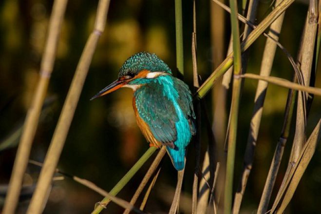 &Delta;&eta;&mu;&eta;&tau;&sigma;ά&nu;&alpha; - Έ&kappa;&theta;&epsilon;&sigma;&eta; &phi;&omega;&tau;&omicron;&gamma;&rho;&alpha;&phi;ί&alpha;&sigmaf; &sigma;&tau;&omicron; &Mu;&omicron;&upsilon;&sigma;&epsilon;ί&omicron; &Upsilon;&delta;&rho;&omicron;&kappa;ί&nu;&eta;&sigma;&eta;&sigmaf;!